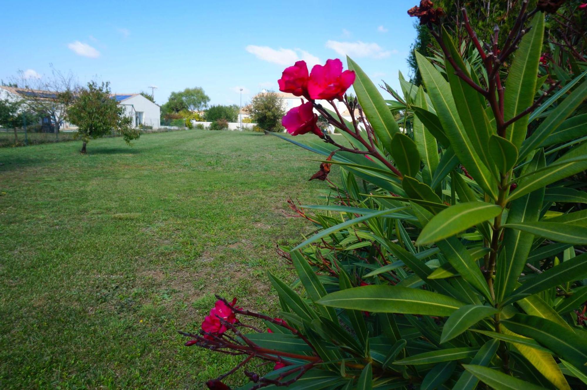 Appartement La Rochelle Sainte-Soulle Kültér fotó
